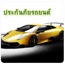 ���������Ե��������ٹ 3+